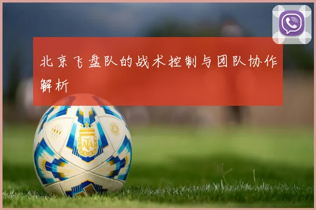 北京飞盘队的战术控制与团队协作解析